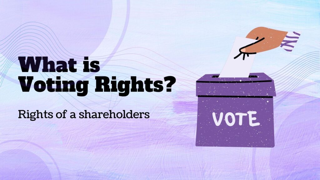 what is voting rights